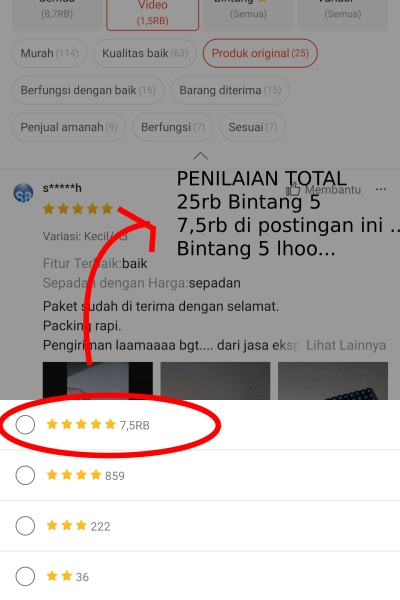 testi-7